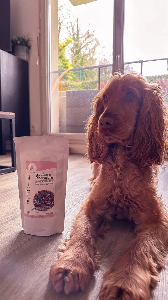 studiolepa-laptitetasse-06