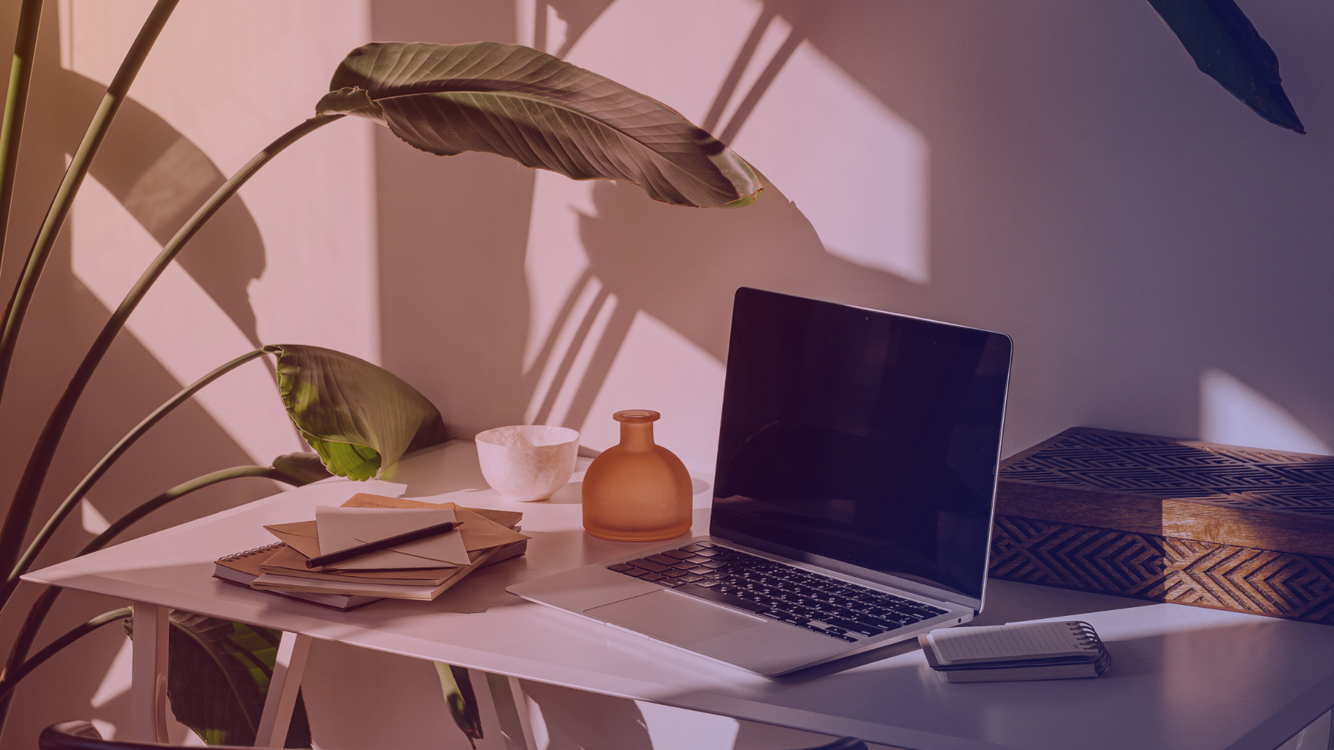 studiolepa-articleblog-instinct