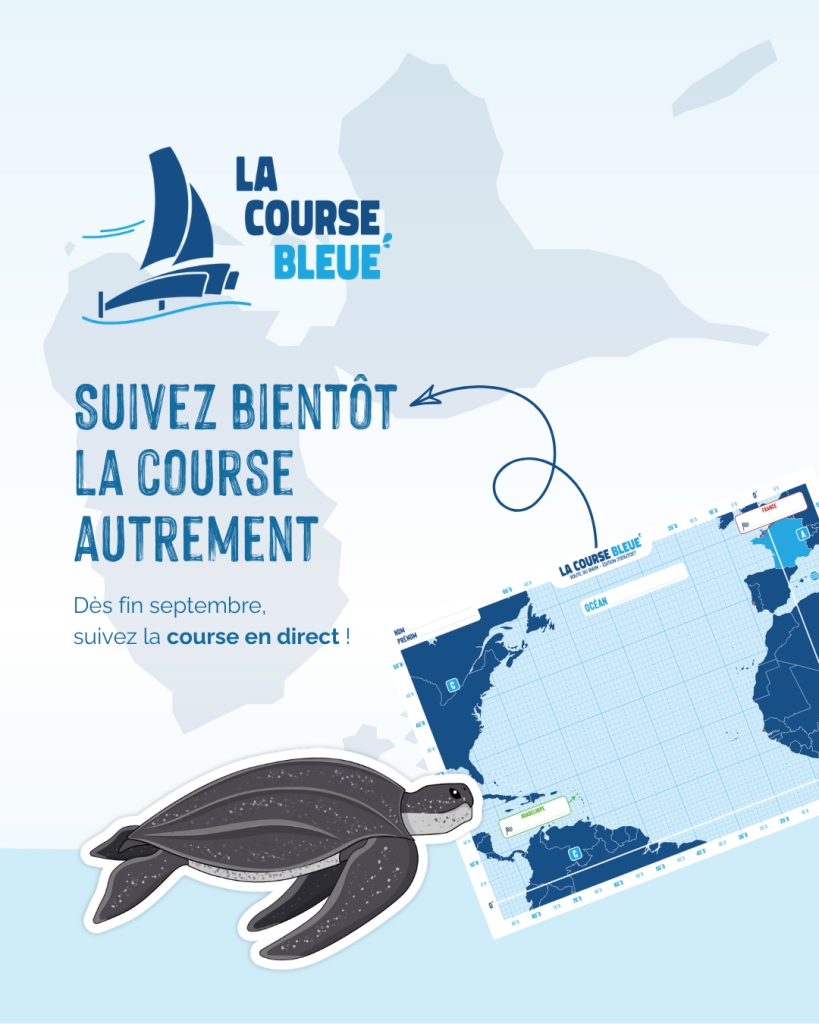 studiolepa-lacoursebleue-07